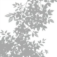 shadow overlay effect. Gray shadow of leaves isolated on white background. Plant foliage leaf shadow light effect. Mockup Blurred tree branch shadow. Ideal for summer spring design elements PNG