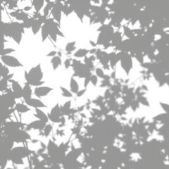 shadow overlay effect. Gray shadow of leaves isolated on white background. Plant foliage leaf shadow light effect. Mockup Blurred tree branch shadow. Ideal for summer spring design elements PNG