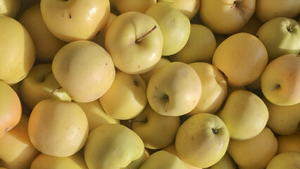 Fresh raw vegetables and fruits, close up view, various kinds of vegetables and fruits, apples,...