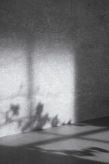Concrete background that can be used in various designs with shadows of sunlight through the window.