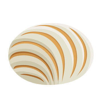 Concha or Mexican Sweet Bread Illustration Isolated on White Background