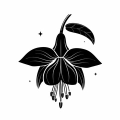 Realstic  Fuchsia Flower Silhouette