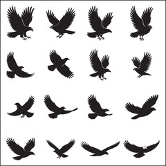 Collection of Eagle Silhouettes in Flight and Landing Poses on White Background