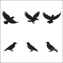 Silhouette Collection of Birds of Prey and Perching Birds in Flight and Standing