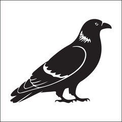 Black Silhouette of a Raven Standing Isolated on White Background Vector Illustration