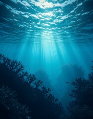 Underwater Serenity: Sunbeams Illuminate Vibrant Coral Reef Ecosystem