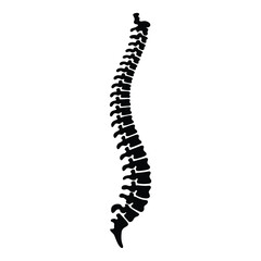 Human Spine Silhouette Illustration on White Background for Medical Purposes