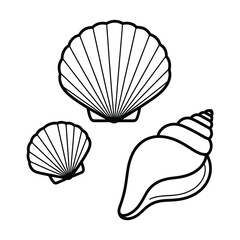 Simple Black and White Seashell Line Art Illustration Set