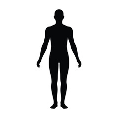 Obraz premium Full body human silhouette isolated on white background for medical use