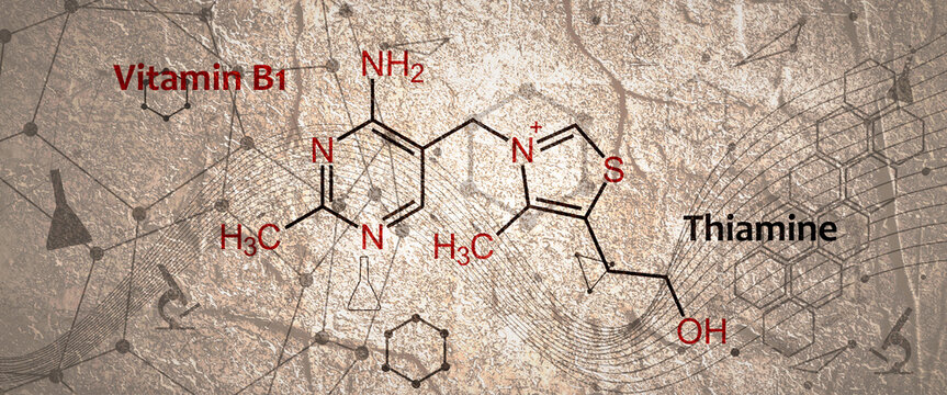 Structure chemical formula of thiamine also known as thiamin and vitamin B1, is a vitamin, an essential micronutrient for humans and animals. Illustration concept for basic chemistry education.