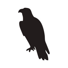 Majestic Eagle Silhouette Isolated on White Background