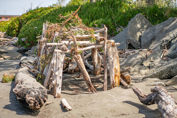 Driftwood fort on the beach