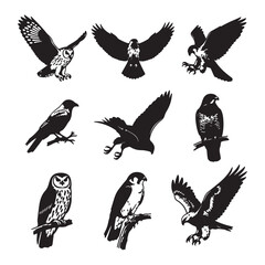 Obraz premium Nine Black and White Bird Silhouettes Owls Hawks and a Crow Perched and in Flight Wildlife Collection