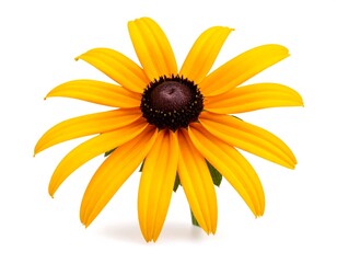 Bright yellow flower on white
