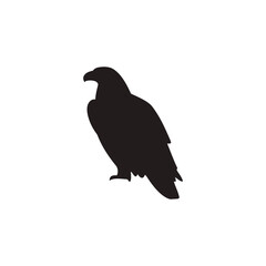 Majestic Eagle Silhouette Isolated on White Background