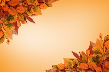 Autumn leaf clusters are framing flat design with veins and branches on orange gradient, copy space