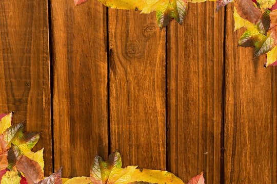 Fototapeta Flat design graphic is featuring vertical wooden planks with autumn leaves framing edges