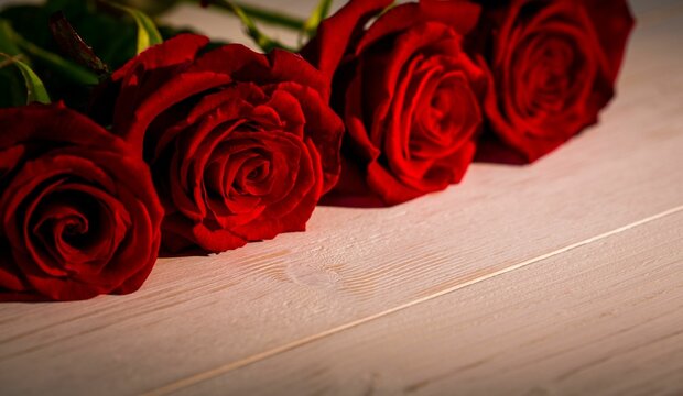 Fototapeta Four red rose blooms are lying in row on light wood tabletop in flat design illustration