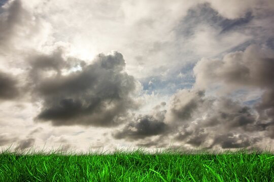 Fototapeta Green grass under grey sky