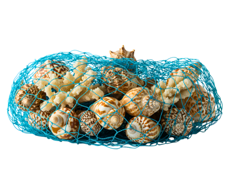 Collection of assorted seashells in a blue net bag isolated on transparent background