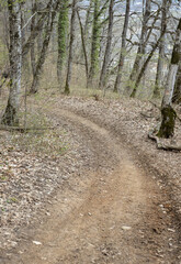 a small stream of water along the bottom of the stream in the middle of spring with a variety of flow forms