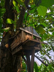 An old birdcage, long forgotten by its owner