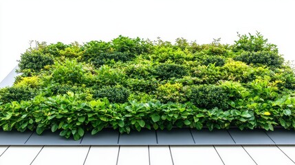 Green Roof on Commercial Building with Trees and Shrubs Isolated