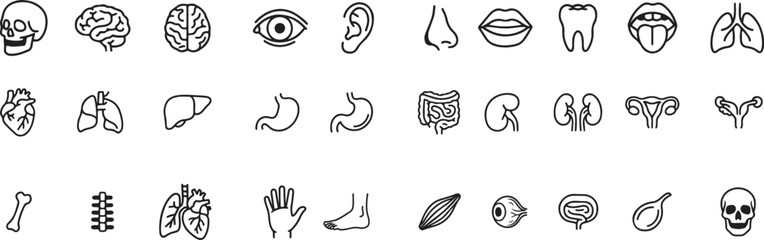 Human Body Organs and Parts Line Icon Set human body part line style icons , nose , ears , eyes , stomach , brain  and more , line icons sets , 