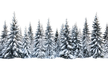 Snowy landscape features dense pine trees covered in snow, creating a tranquil winter setting in a pristine environment