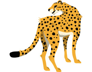 wild animal cheetah illustration