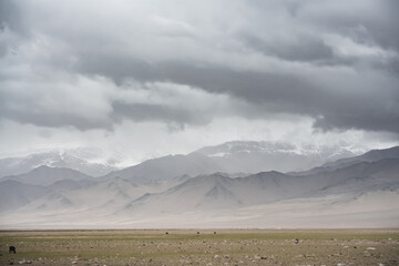 Panorama of mountain peaks with snow and glaciers, a landscape in the highlands of the Tien Shan in Pamir in cloudy weather with clouds and rain, high-mountain steppe and mountains in the background