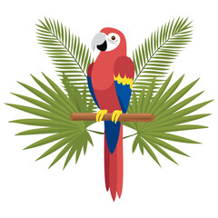 Macaw parrot sitting on a branch with palm leaves color vector illustration. Image of exotic bird on isolated background.
