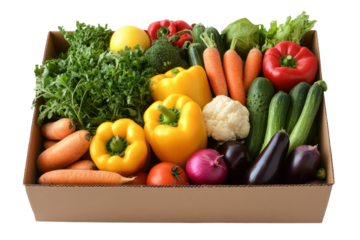 Fresh and colorful assortment of vegetables packed in a cardboard box displayed against a plain background