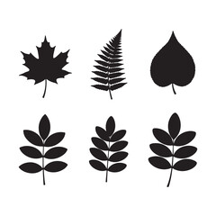 Fototapeta premium Six Black Silhouettes of Various Leaves Maple Fern Poplar and Three Compound Leaves on White Background Botanical Illustration Set