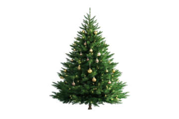 Christmas tree with ornaments displayed on a plain white background, highlighting festive decorations and natural green foliage suitable for holiday celebrations
