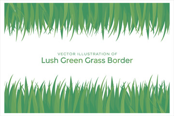 Green Grass Borders Collection Bundle| Green Meadow Nature Elements 