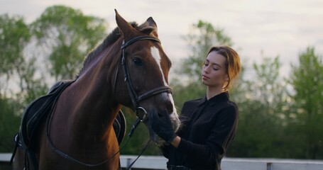Portrait of a woman with a horse on a summer day. A woman lovingly strokes a horse's muzzle