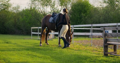 The rider checks the saddle before riding the horse. Summer day