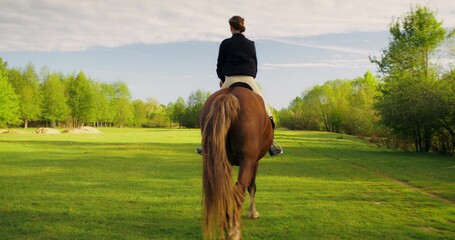 A stylish woman rides a horse through a picturesque green clearing near the forest. Rear view,...