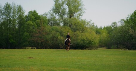 An elegant woman gallops on a horse through a picturesque countryside