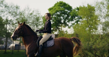 A woman gallops on a horse across a field. Sunny day, picturesque nature