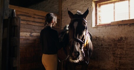 A woman saddles a horse in a paddock. Preparing for a horse ride on a sunny day