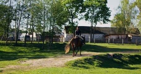 A horsewoman rides a horse on a sunny day. Horseback riding