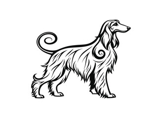 Afghan Hound dog silhouette vector illustration, pet clipart, black and white animal shape