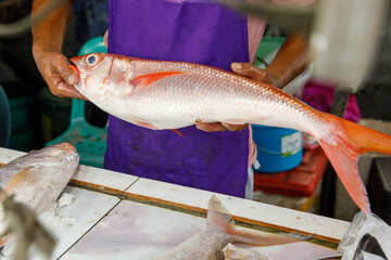 Fresh red snapper held by fish vendor at wet market in Philippines with cutting table and seafood in background