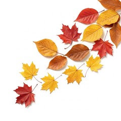 Autumn Leaves and Cozy Elements on White Background