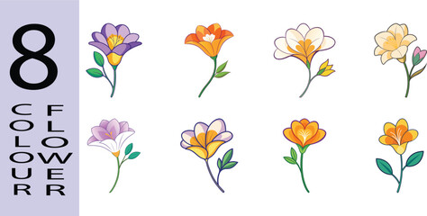 Freesia Flower Flat Style Botanical Vector Illustration