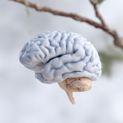 Detailed anatomical model of a human brain with cerebellum and brainstem in soft focus