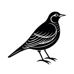 skylark