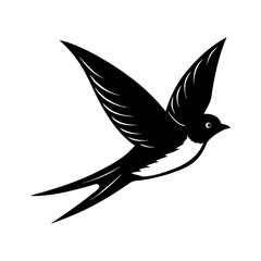 violet green swallow